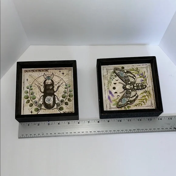 Spirit Framed Insect Art Prints - Picture 2 of 7